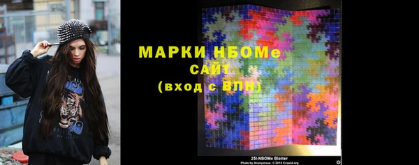 индика Верхний Тагил