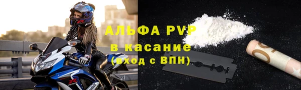 индика Верхний Тагил