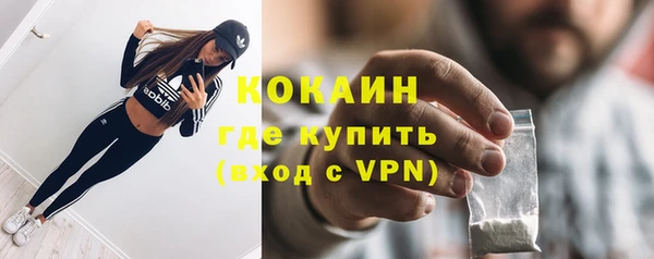 индика Верхний Тагил